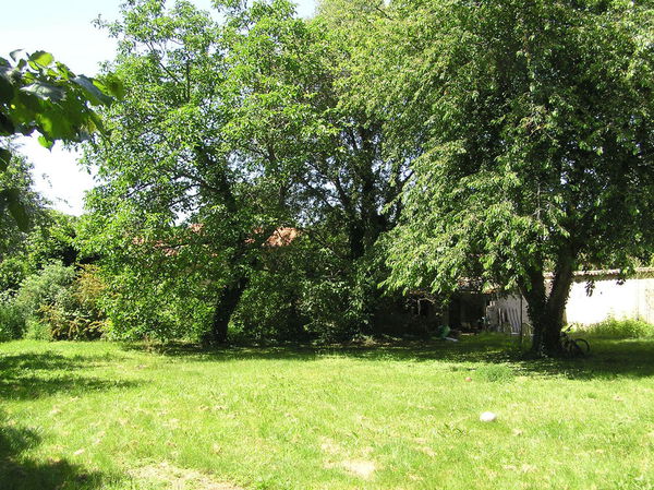 Terrain constructible issu de la division à Oullins